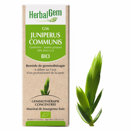 Herbal Gem, Juniperus communis, 15 ml