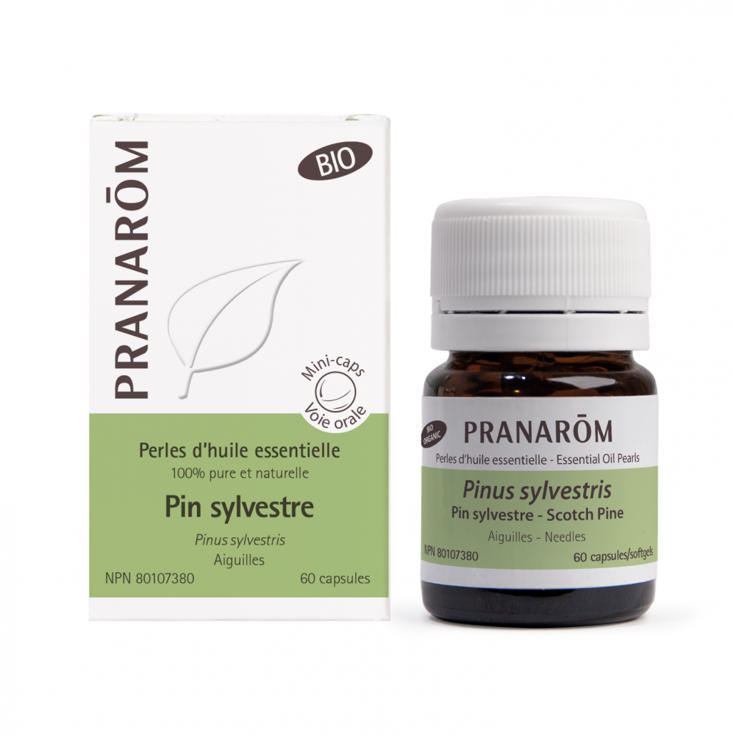Pin sylvestre perles d’huile essentielle (60 gélules)