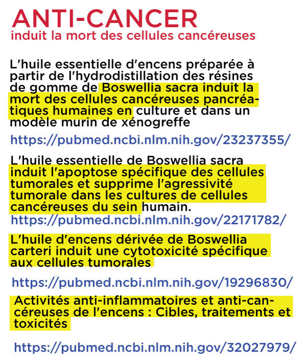 ENCENS Boswellia carterii (5ml)