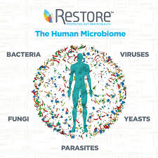 RESTORE Santé complète