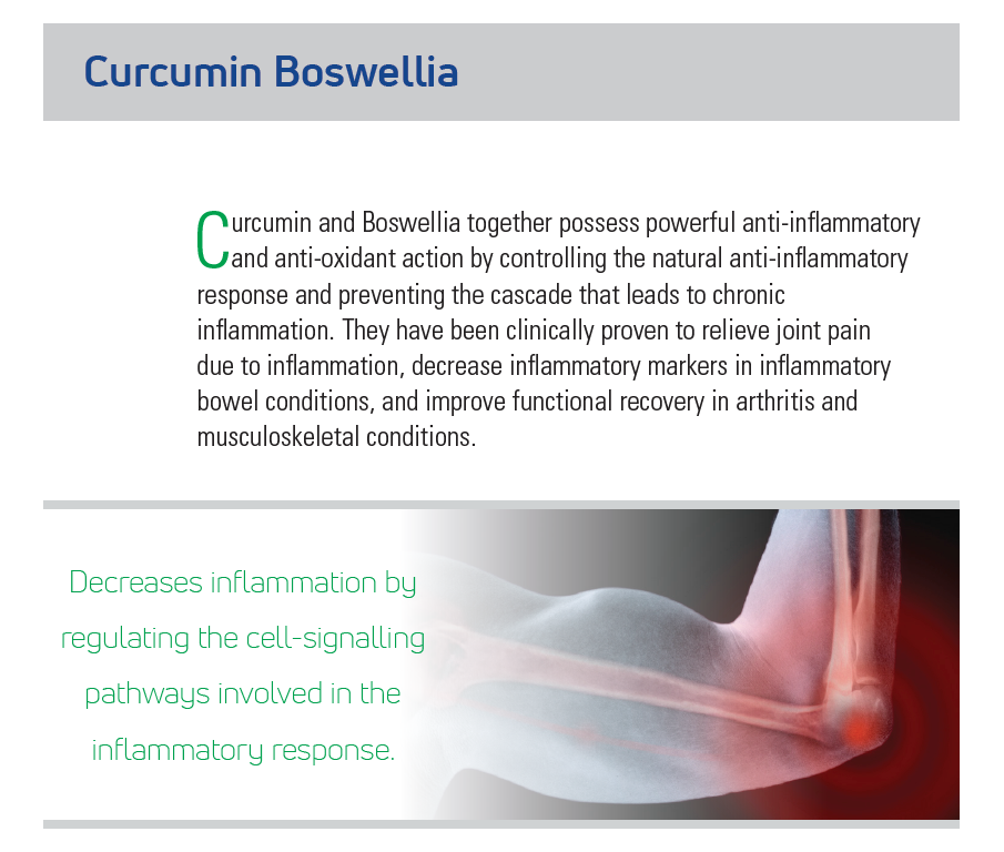 Curcumin Boswellia Phytosome 60 capsules