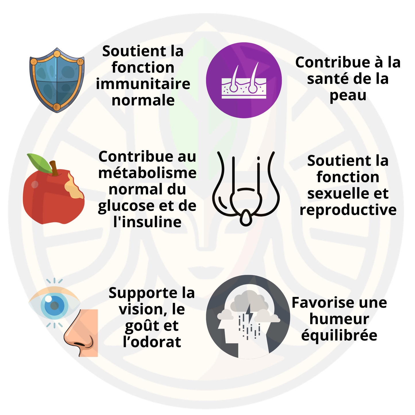 Zinc Supreme™ (Capsules)