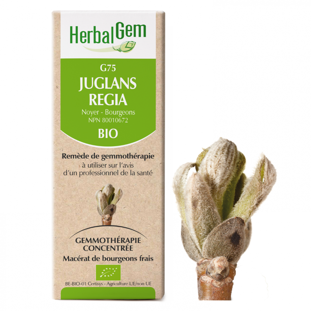 Herbal Gem, Julian regia, 15ml