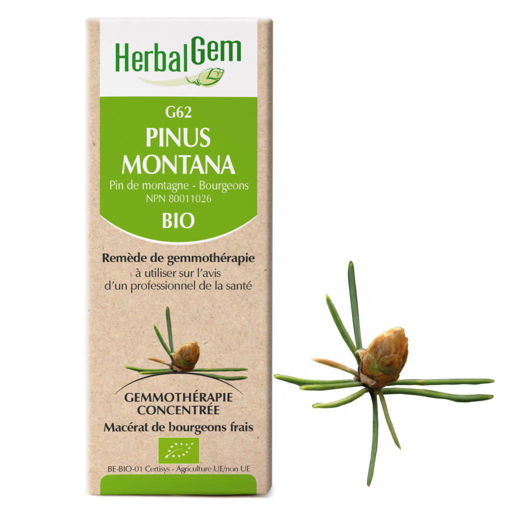 Herbal Gem Pinus Montana, 15 ml