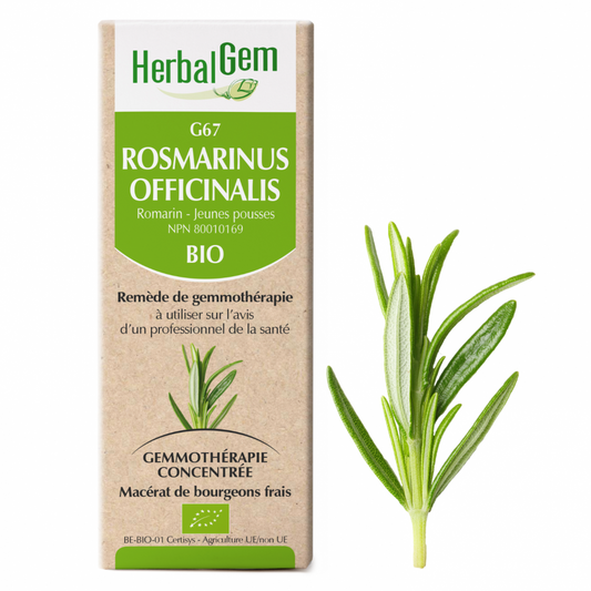 Herbal gem, Rosmarinus officinalis, 15 ml